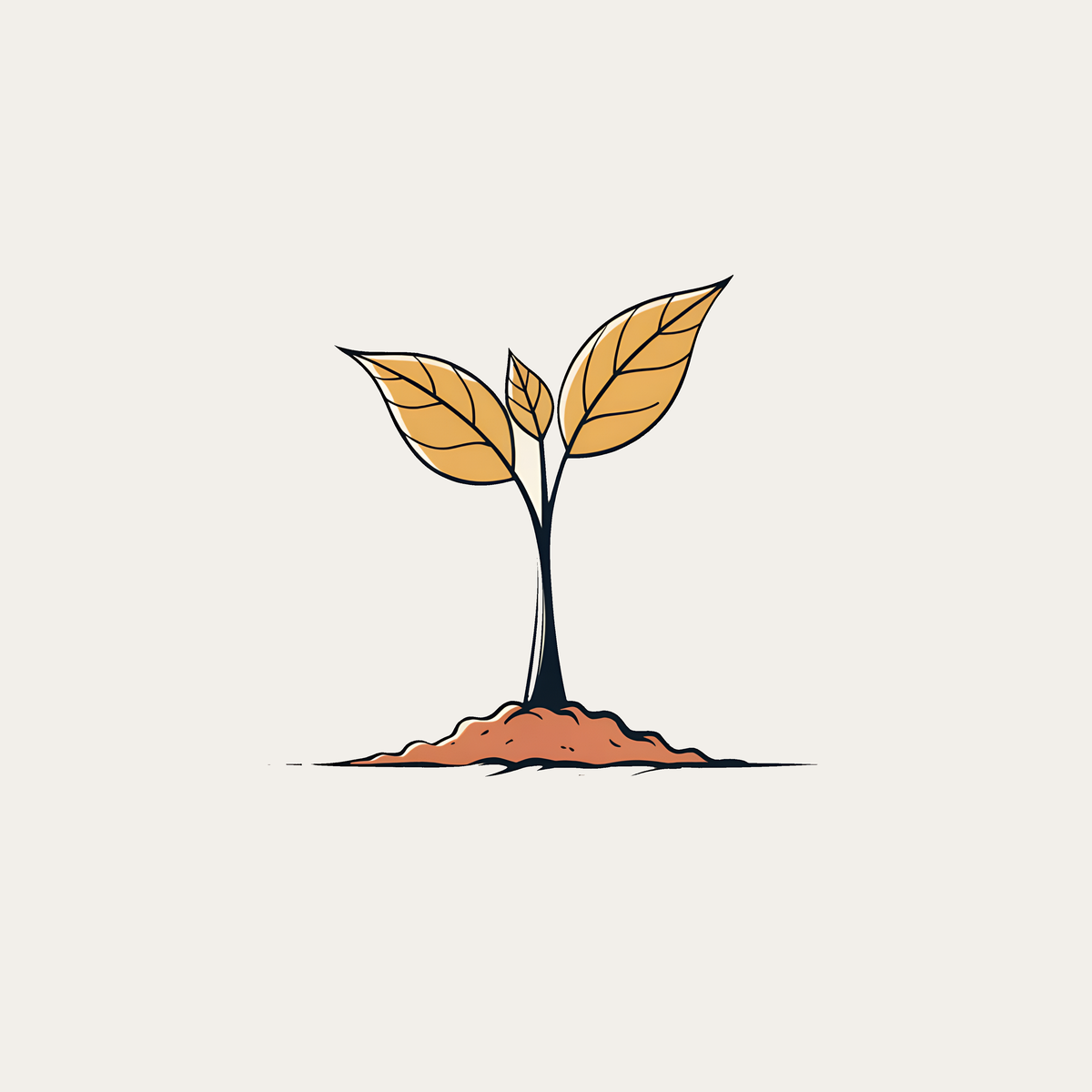 A newly planted sapling